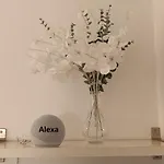 Piso Dos Playas Apartamento Mino