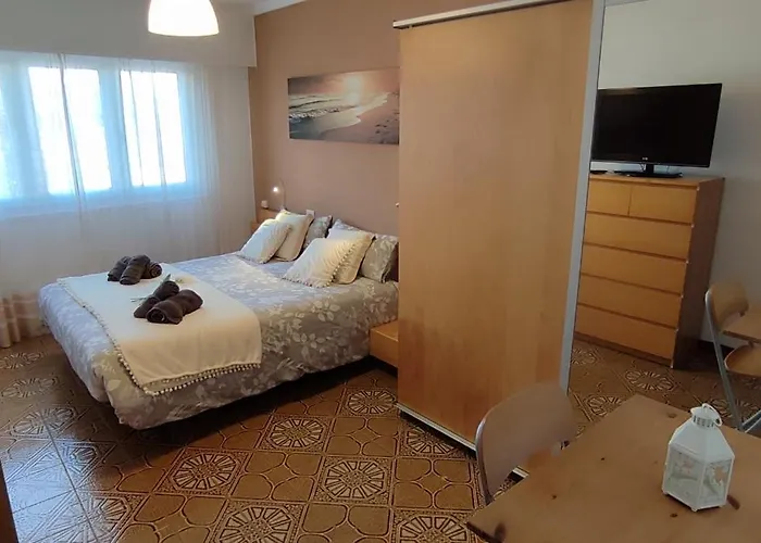 Piso Dos Playas * Mino